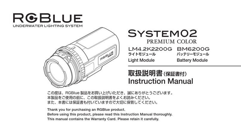 RGBlue System 02 Premium Color instruction manual