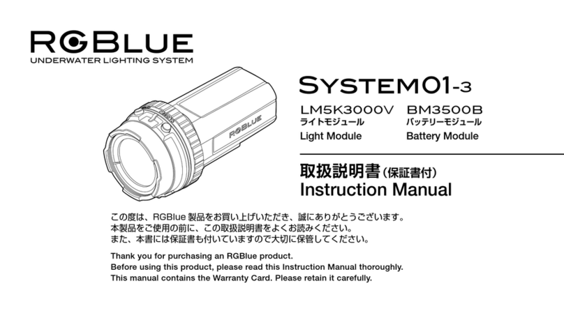 RGBlue System 01-3 User manual