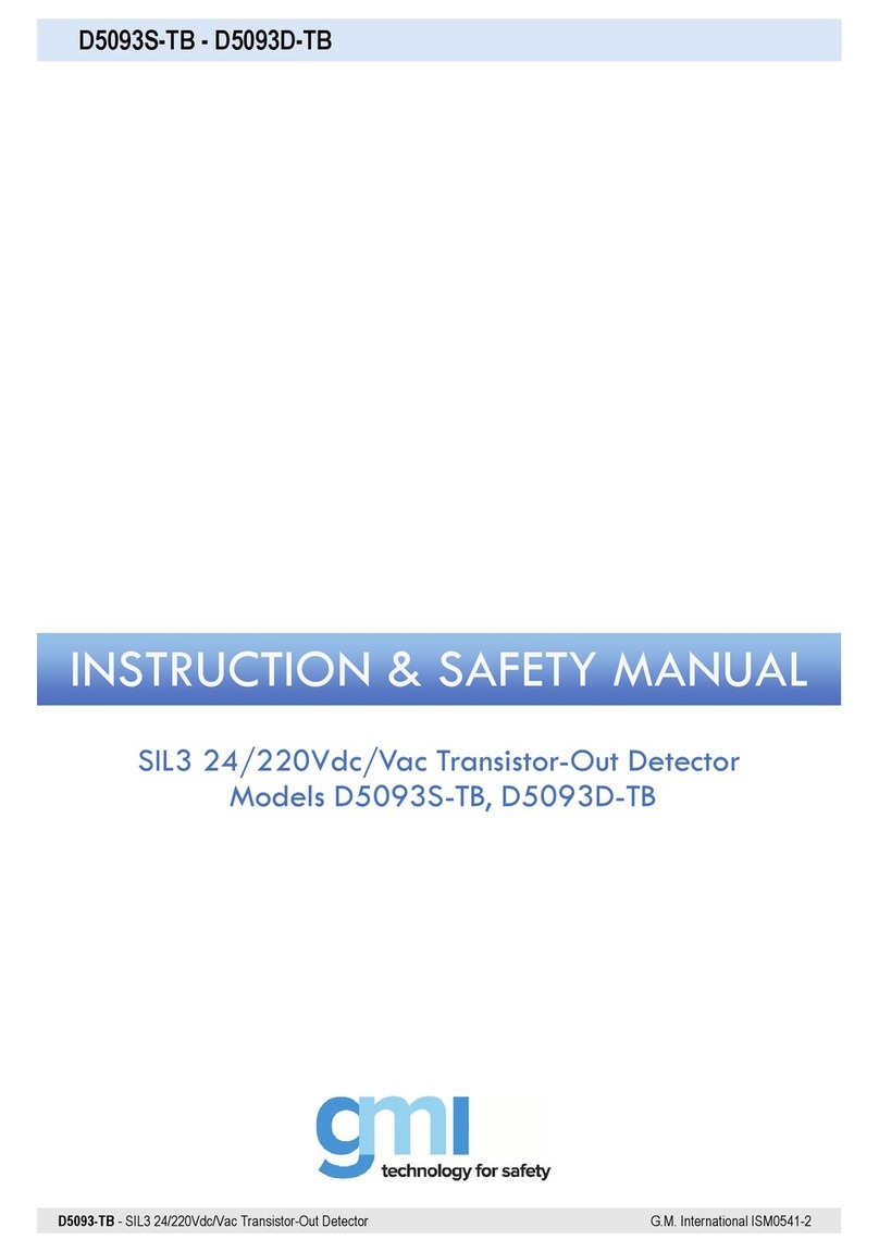 GMI D5093S-TB Instruction & safety manual