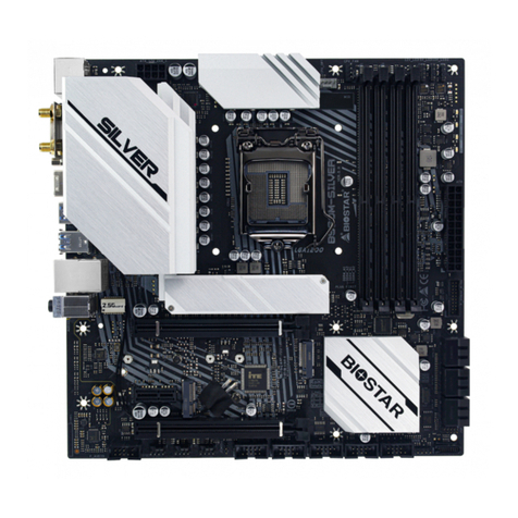 Biostar B560M-SILVER User manual