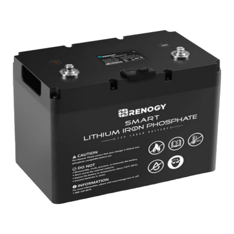 Renogy RBT100LFP12S-US manual