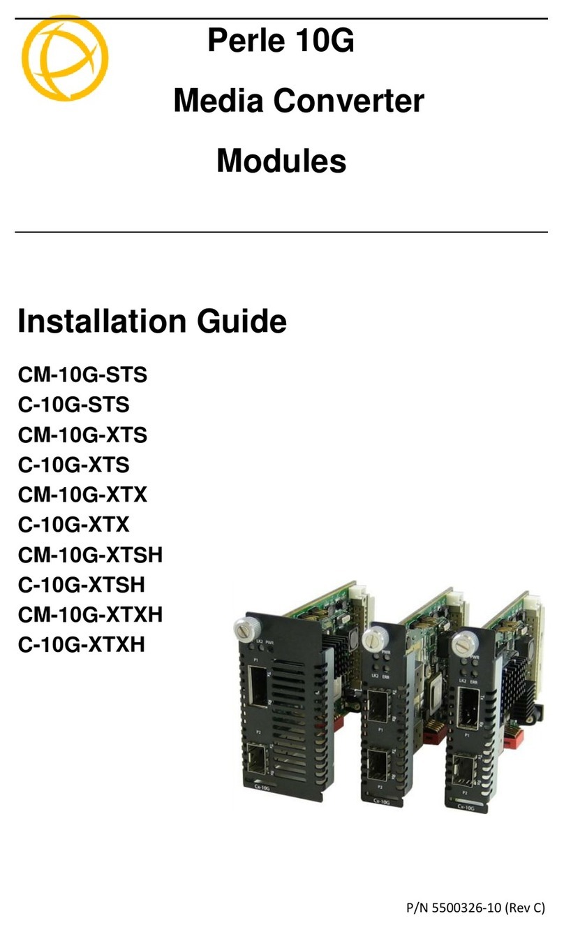 Perle C-10G-STS installation guide