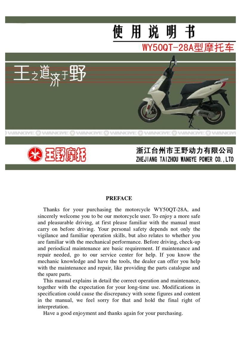 WangYe WY50QT-28A manual