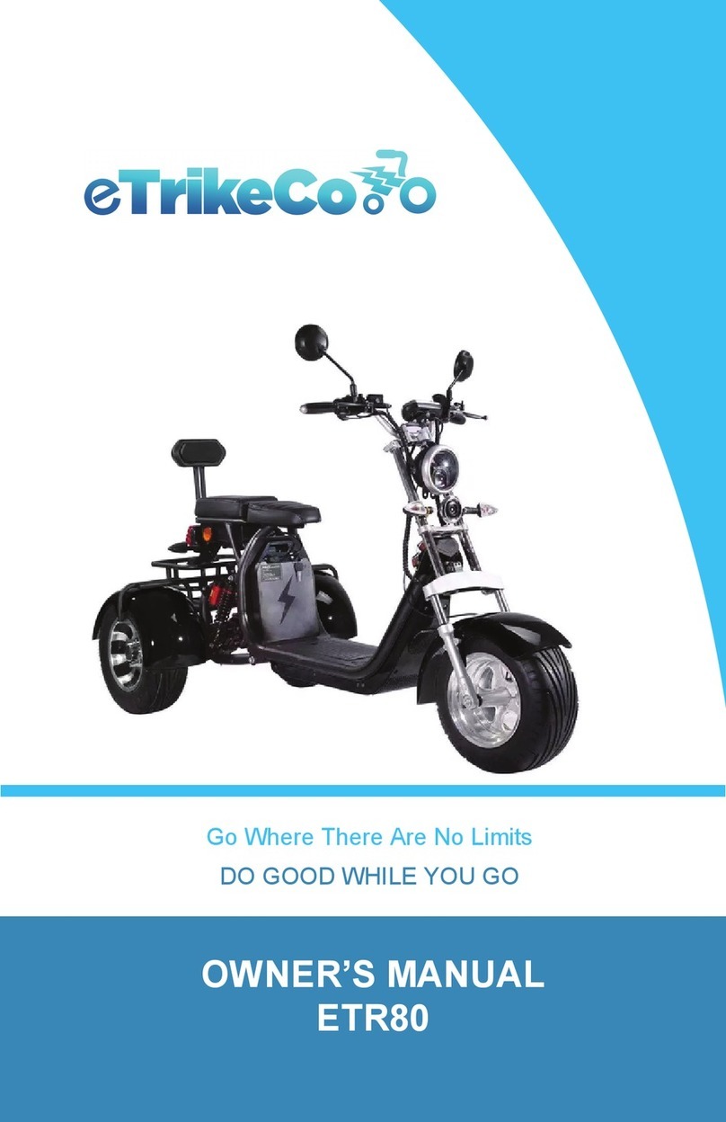 eTrikeCo ETR80 owner's manual