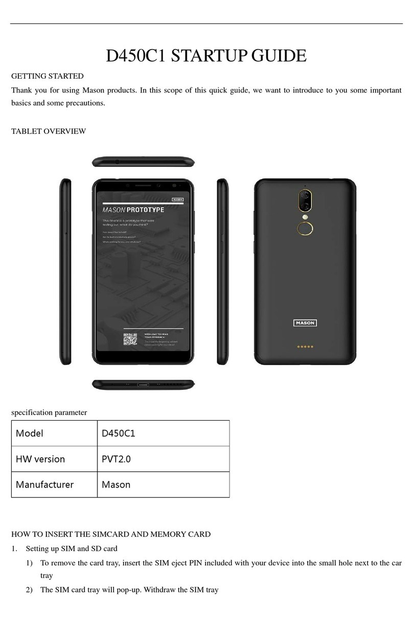 Mason D450C1 Startup guide