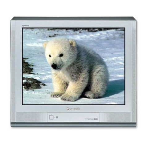 Panasonic TX-29P150T Service manual