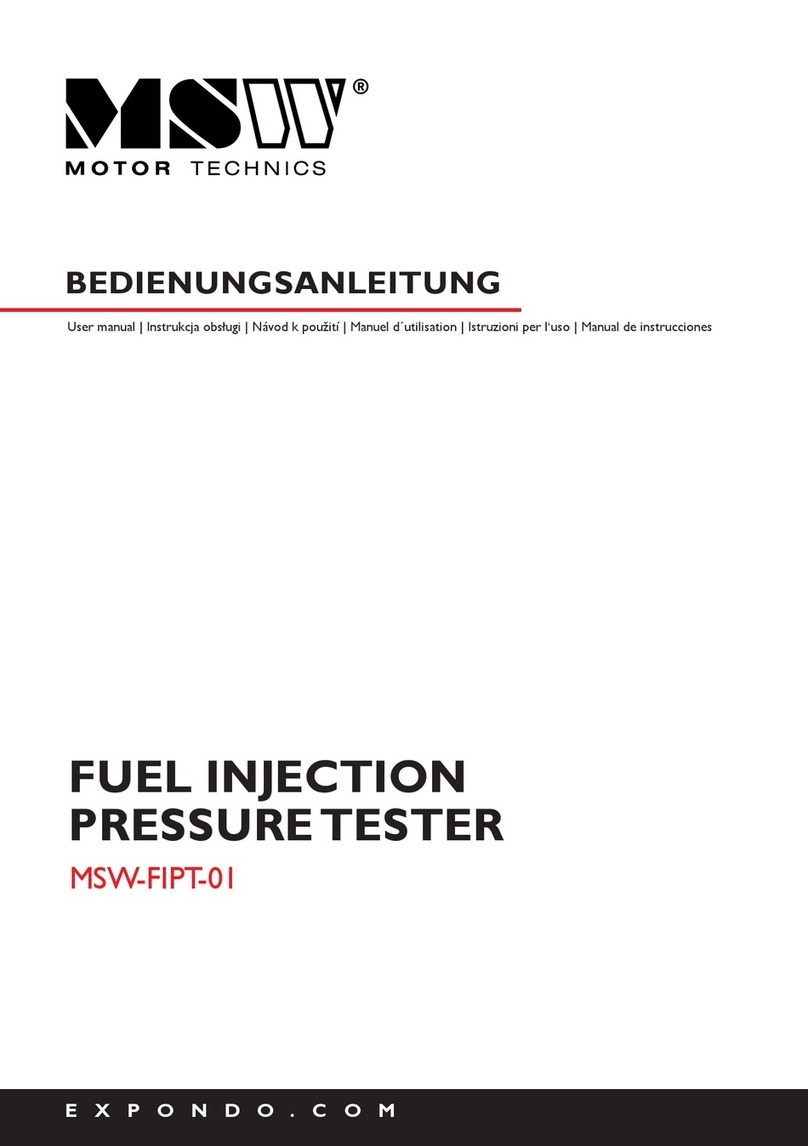 MSW Motor Technics MSW-FIPT-01 user manual