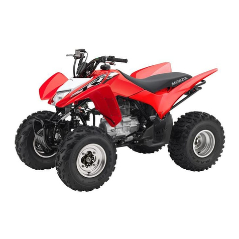 Honda TRX 250EX 2007 owner's manual