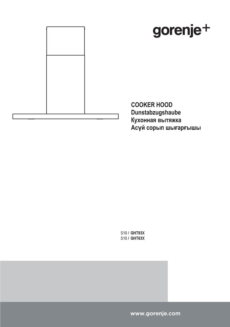 Gorenje S10/GHT93X manual