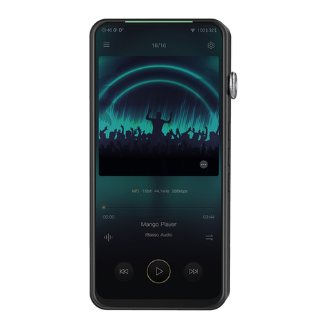 iBasso Audio DX320 user guide