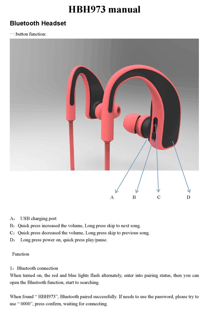 Linpa World HBH973 manual