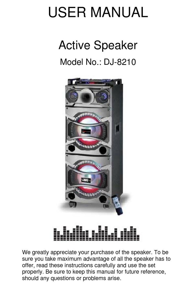 DBL Technology DJ-8210 user manual