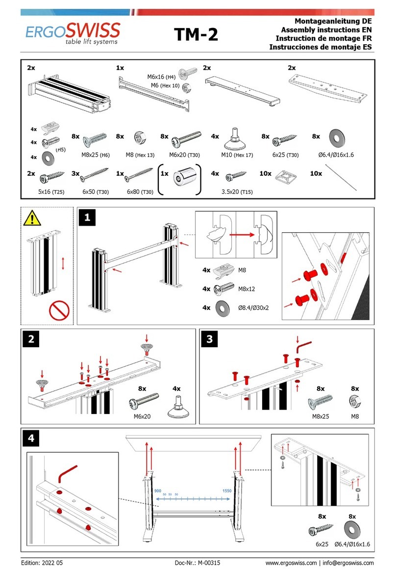 Ergoswiss TM-2 Assembly instructions