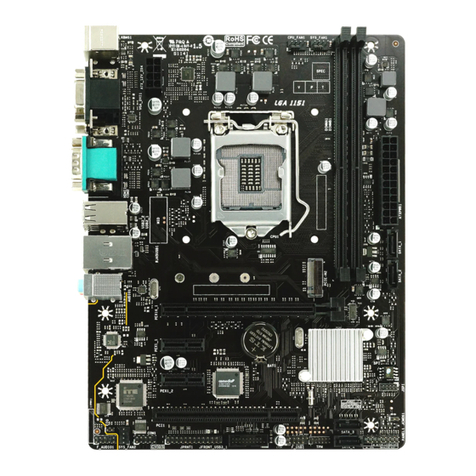 Biostar H310MHG manual
