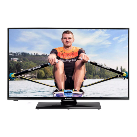 Gogen TVH32R360STWEB User manual