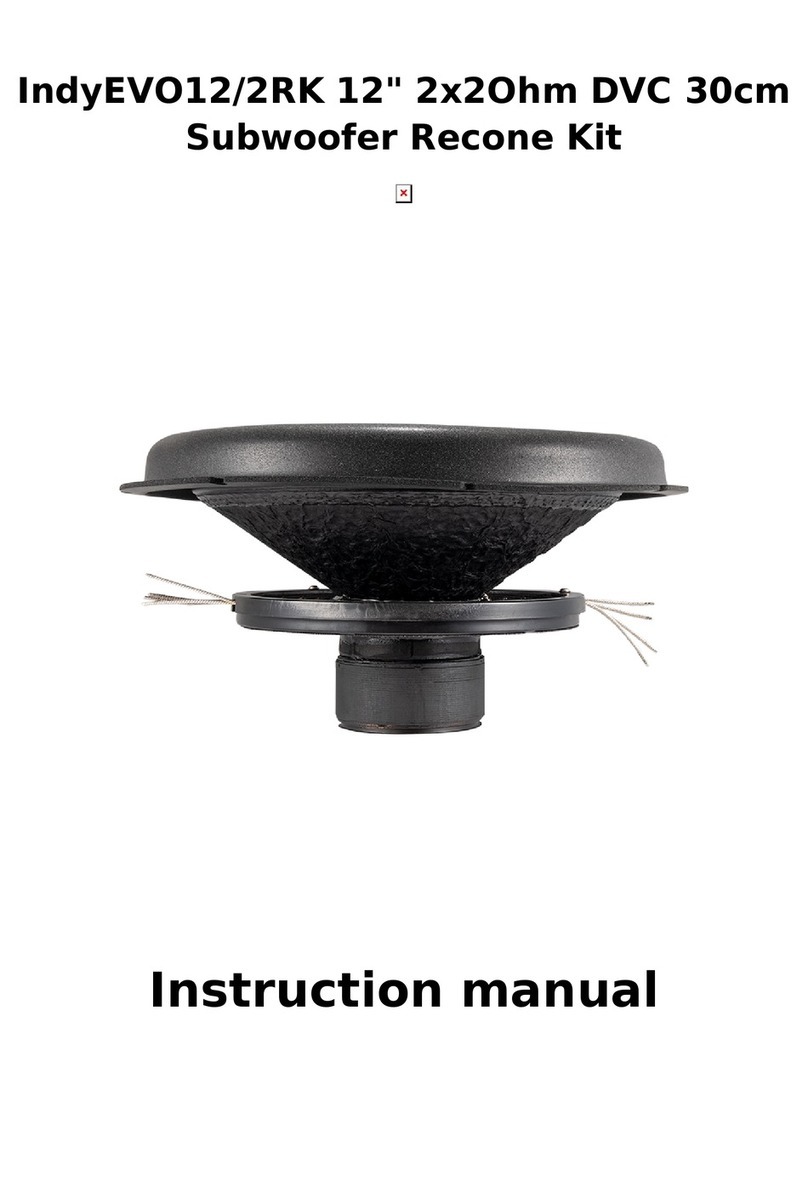 BASSFACE IndyEVO12/2RK instruction manual