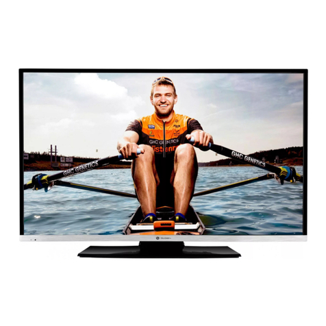 Gogen TVF43R384STWEB User manual