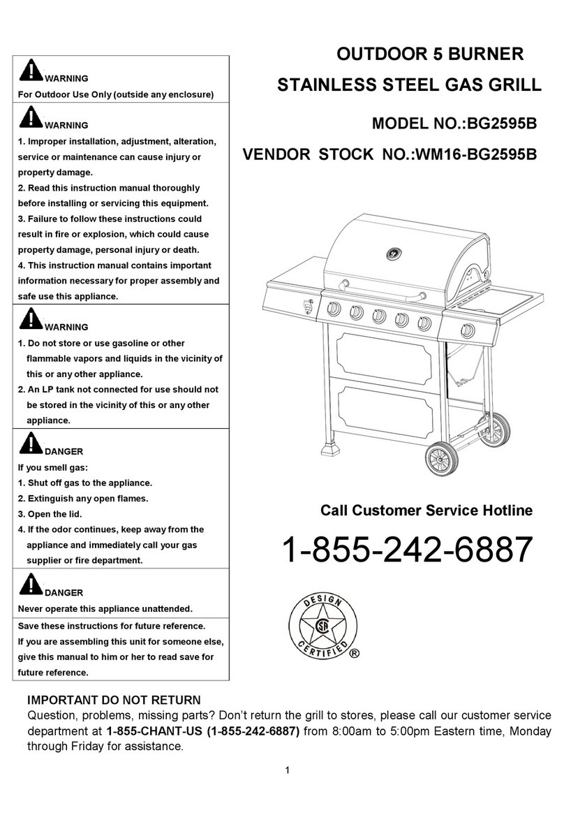 RevoAce BG2595B manual