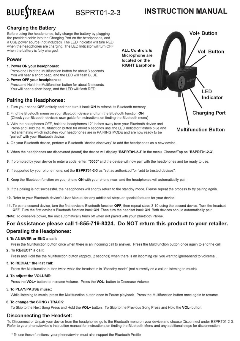 Bluestream BSPRT03 instruction manual