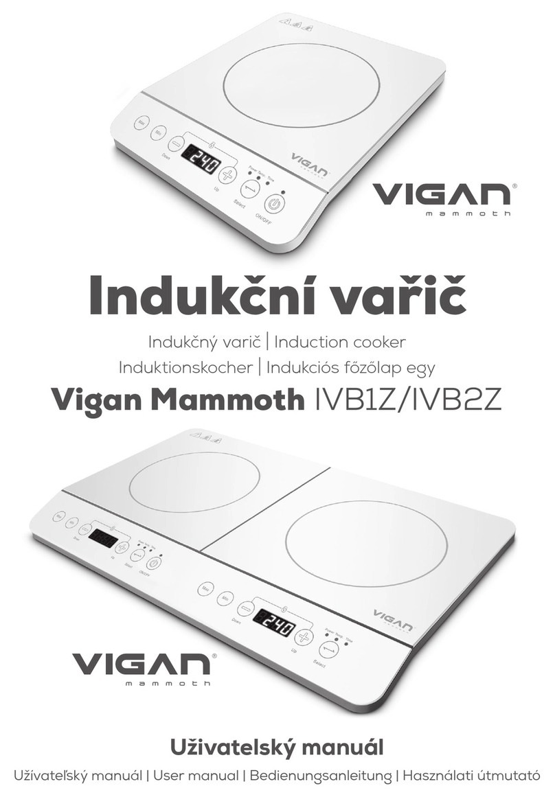 Vigan Mammoth VB1Z user manual Vigan Mammoth VB1Z user manual