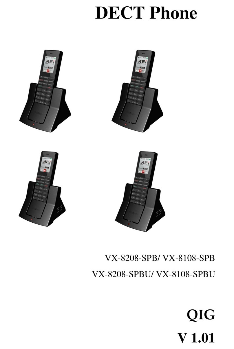 AEI VX-8208-SPB QIG