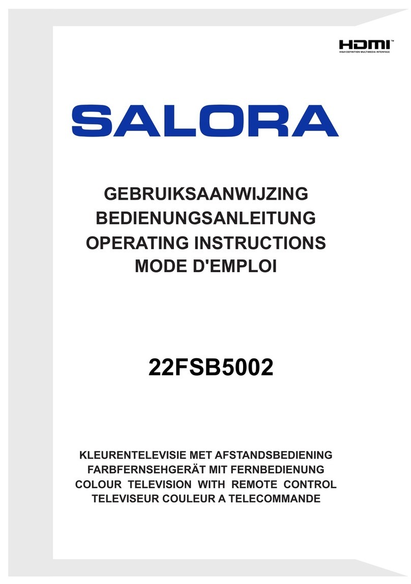 Salora 22FSB5002 User manual