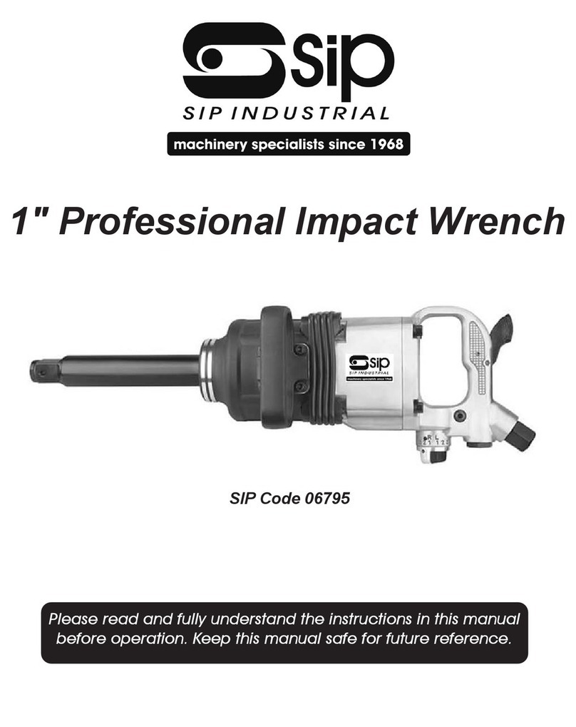 SIP 06795 User manual
