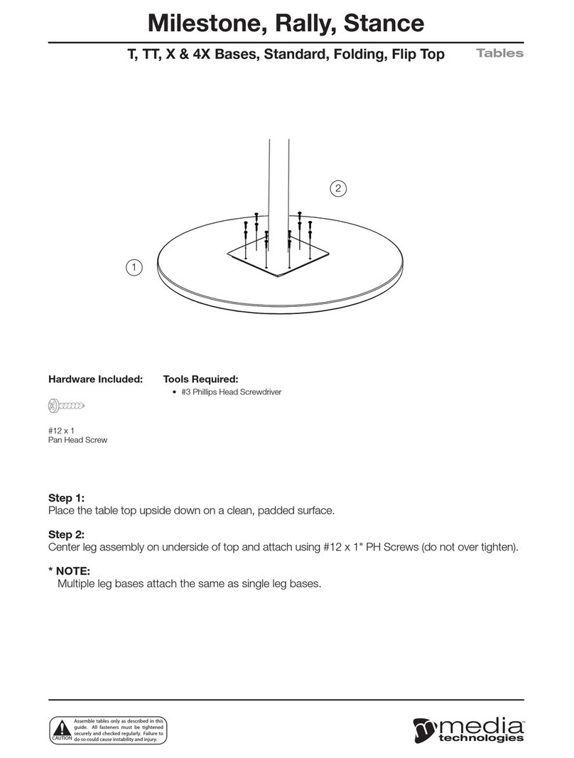 Media Technologies Milestone T Assembly instructions