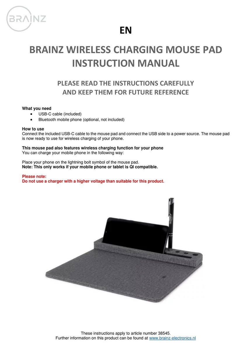 Brainz 38545 instruction manual