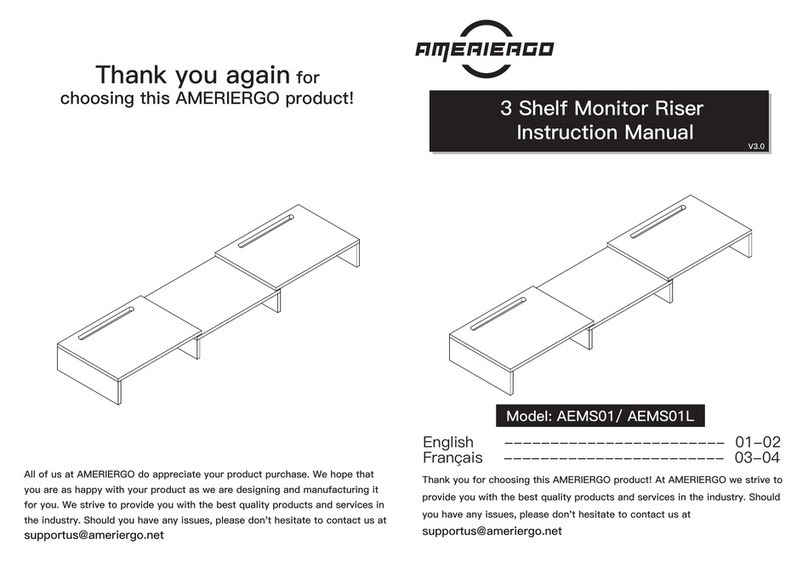 AMERIERGO AEMS01 instruction manual AMERIERGO AEMS01 instruction manual