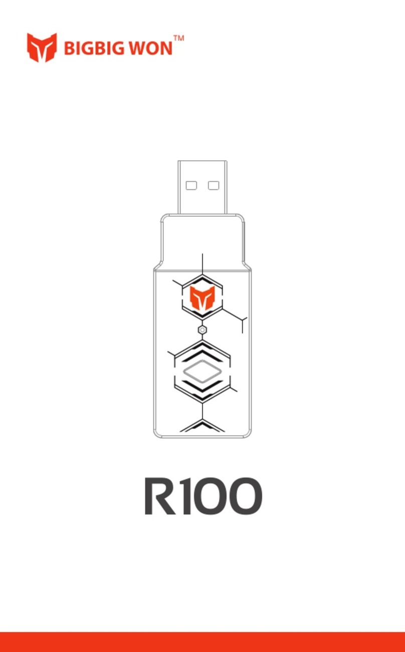 BIGBIG WON R100 user manual