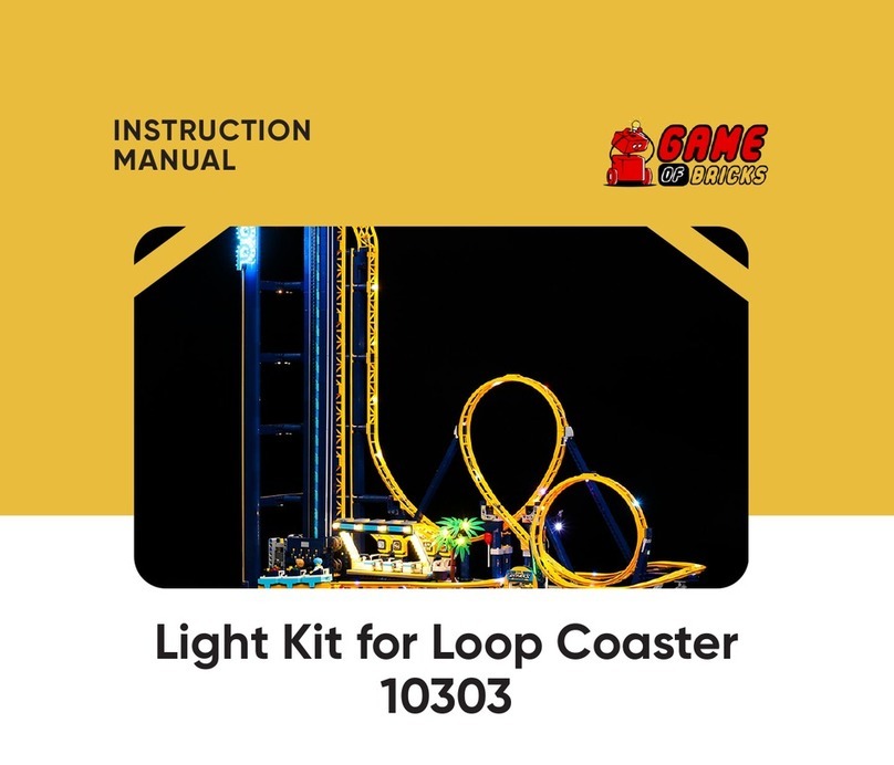 GAME OF BRICKS Loop Coaster 10303 instruction manual