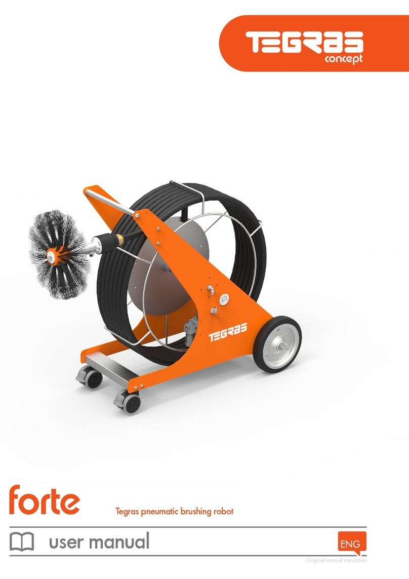 TEINNOVA Tegras Forte user manual