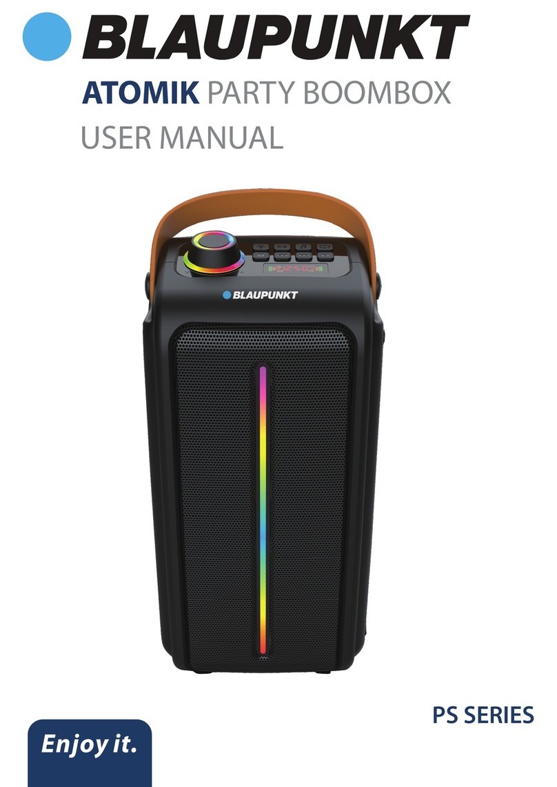 Blaupunkt PS Series user manual