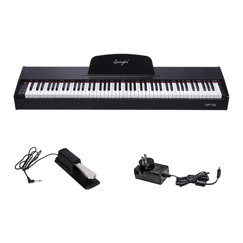 LEXINGTON DP-730 manual