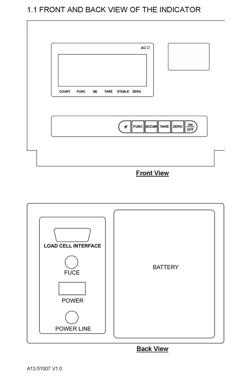 DigiWeigh A12 manual