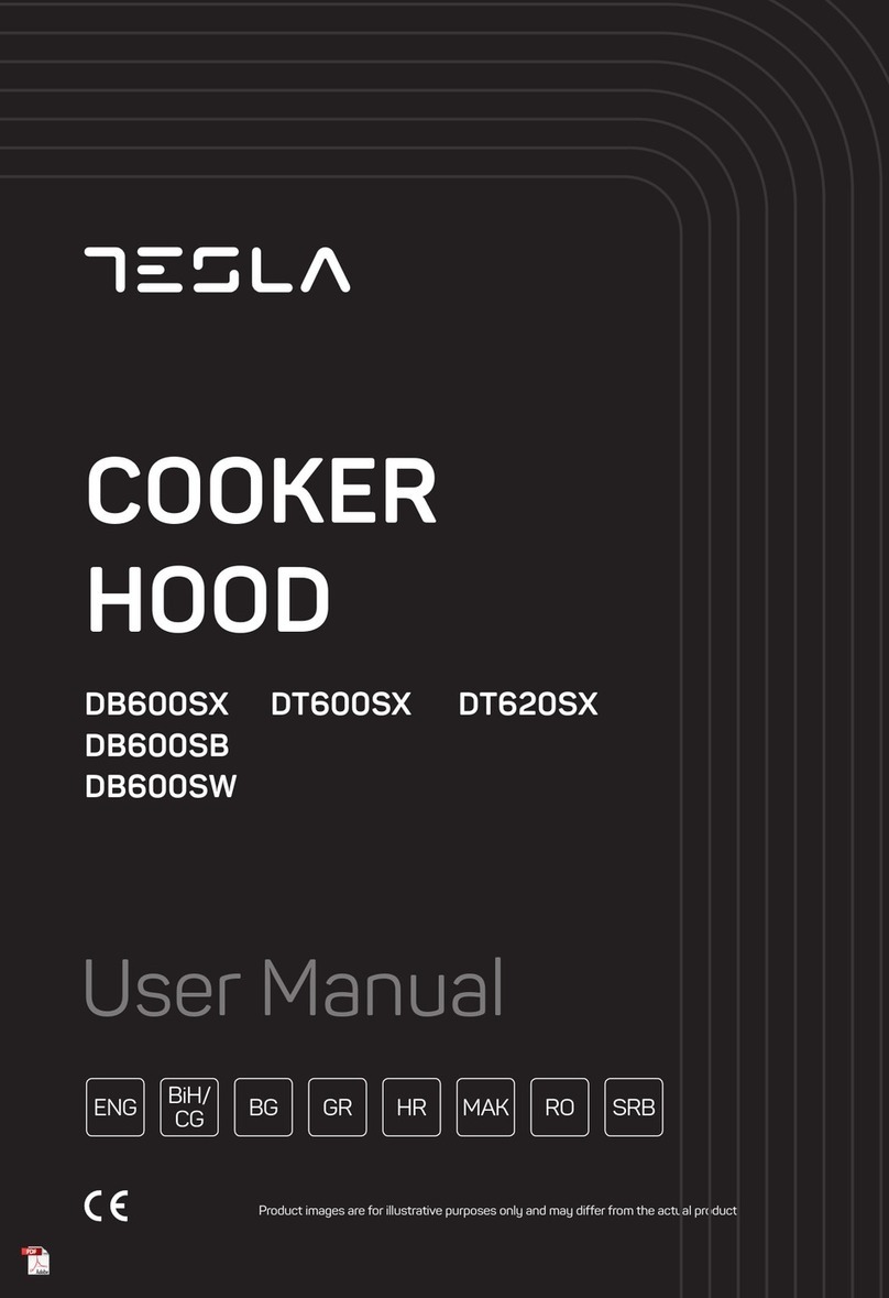 Tesla DB600SB user manual