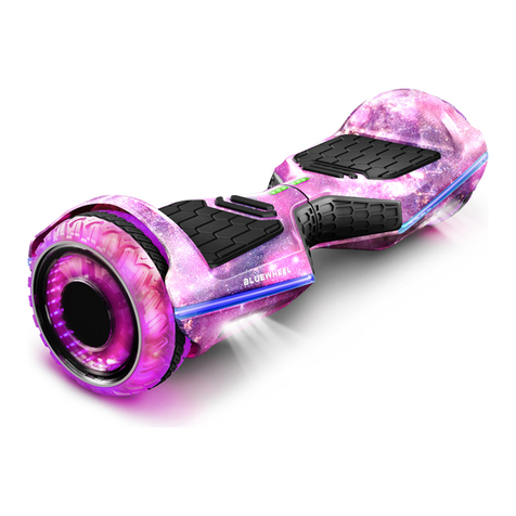 Bluewheel HX360 manual