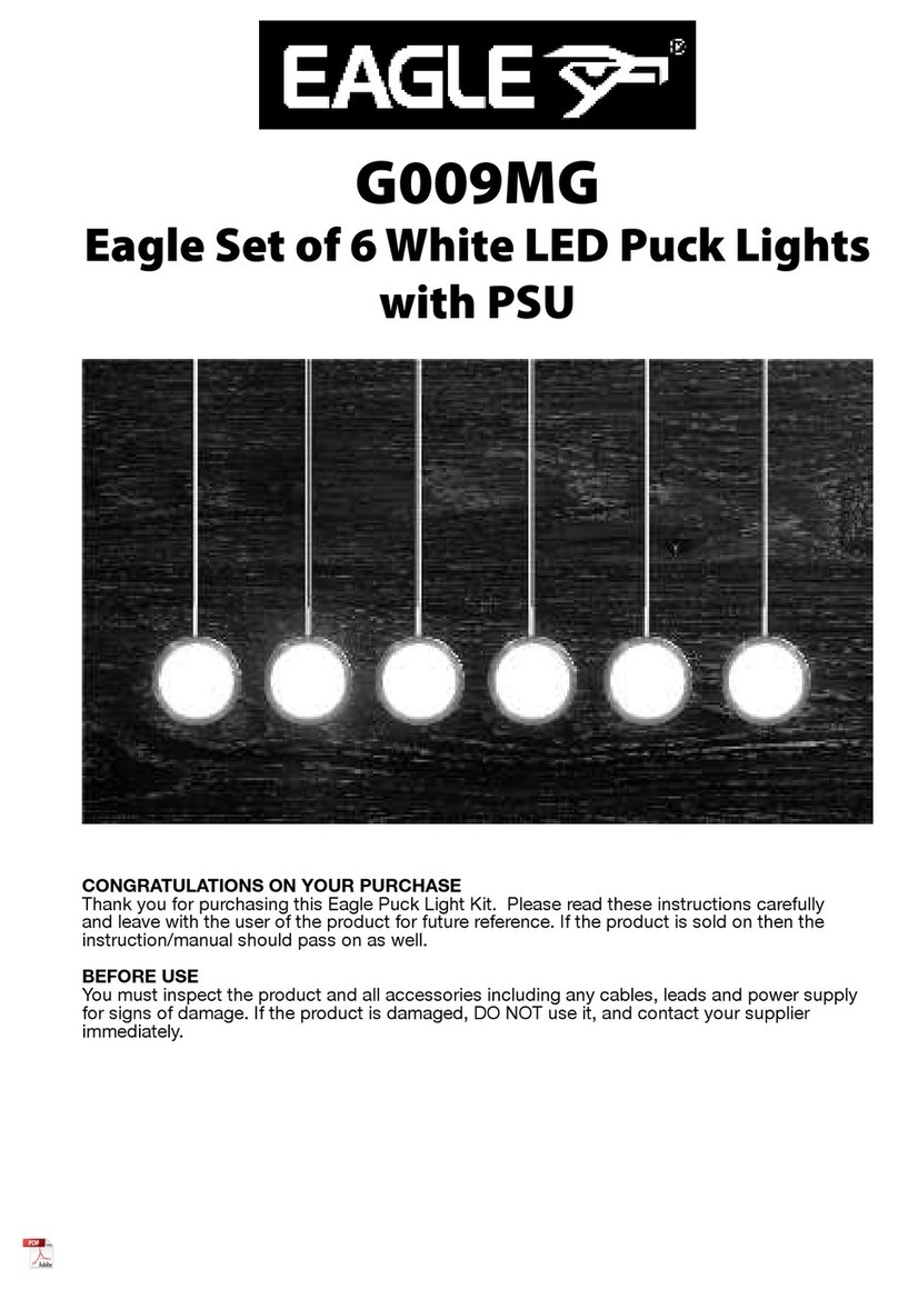 Electrovision Eagle G009MG quick start guide
