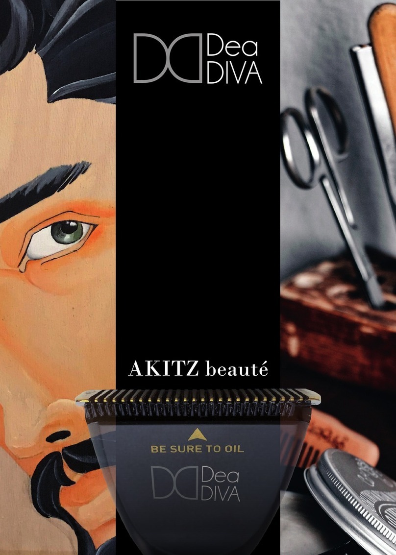Dea DIVA AKITZ beaute quick start guide