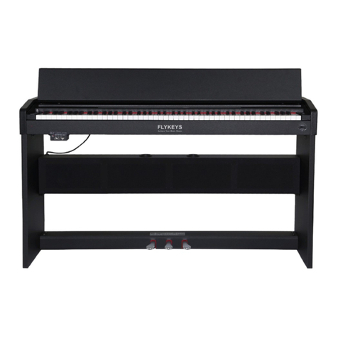 FLYKEYS FK100 User manual