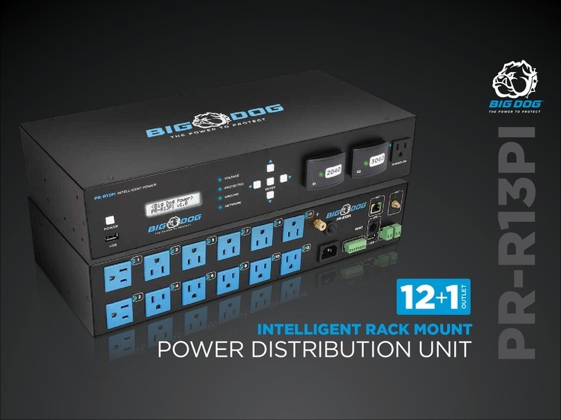 BigDog PR-R13PI manual