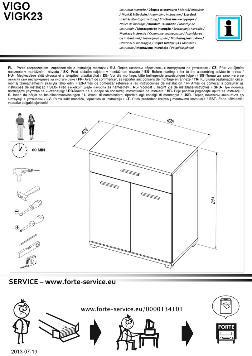 Forte VIGO User manual
