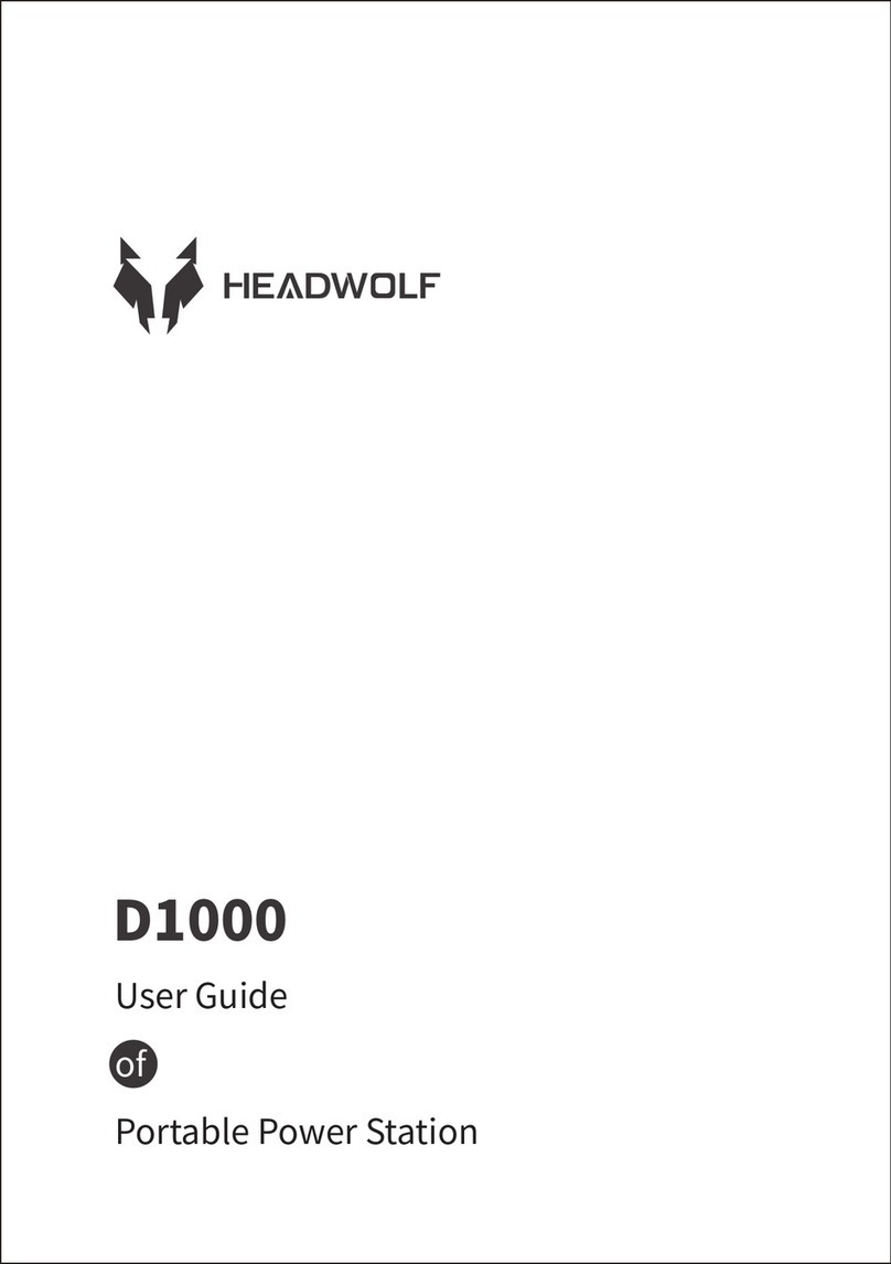 HEADWOLF D1000 user guide