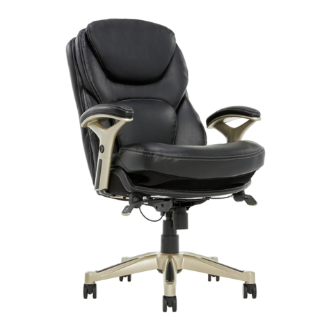 Costco Back-in-Motion 790842 User manual