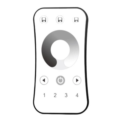 SKYDANCE R6 User manual