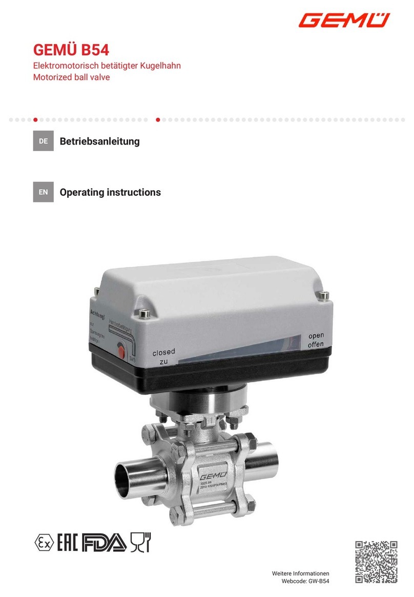 GEM B54 User manual
