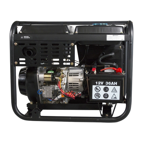 ITC Power DG6000LE User manual