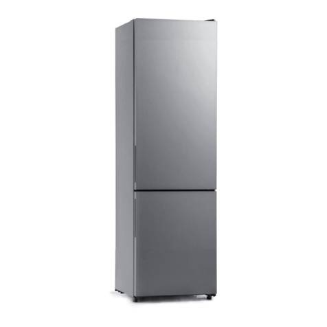 Saba CB2521NFS User manual