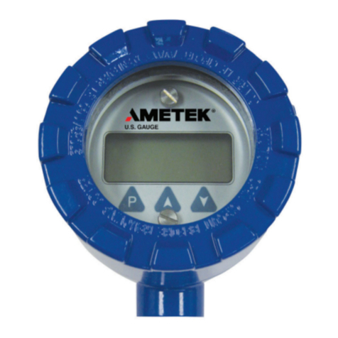 Ametek DT-8300EX User manual